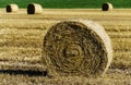 Sheaf harvest at sunset, alimentation