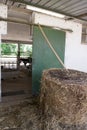 Sheaf of hay with a hayfork in front of a cattle shed