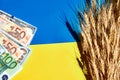 Sheaf of ripe wheat on national Ukrainian flag with USA dollars and EU Euro banknotes Royalty Free Stock Photo