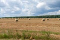 Sheaf of straw in the field nobody