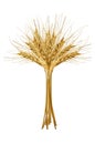 A sheaf of wheat isolated on white background