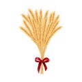 Sheaf of wheat. Reap of spiked grain heads. Christmas sheaf. Bunch of crop ears. Spikes, Julkarve, Julenek, Royalty Free Stock Photo