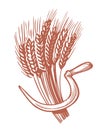 Sheaf of wheat and sickle. Cooking and baking flour, food ingredients. Agriculture, farm concept. Vector illustration Royalty Free Stock Photo