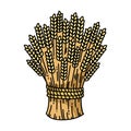 Sheaf of wheat, vector image. Colorful flat icon