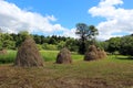 Sheafs of hay standing in Carpathian mountains Royalty Free Stock Photo