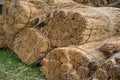 Sheafs of straw on the summer grass Royalty Free Stock Photo