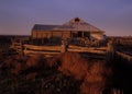 Shearing shed