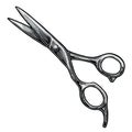 Shears. Vector color illustrations on white backgrounds.