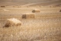 Sheaves on the field