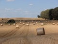 Sheaves of hay