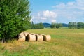 Sheaves of hay in forest glade. Royalty Free Stock Photo