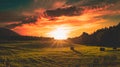 sheaves of hay lying on a mown field at sunset Royalty Free Stock Photo