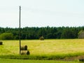 Sheaves of hay on meadow. Royalty Free Stock Photo