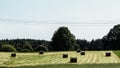 Sheaves of hay on meadow Royalty Free Stock Photo