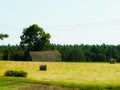 Sheaves of hay on meadow Royalty Free Stock Photo