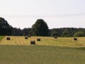 Sheaves of hay on meadow Royalty Free Stock Photo