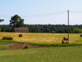 Sheaves of hay on meadow. Royalty Free Stock Photo