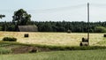 Sheaves of hay on meadow. Royalty Free Stock Photo