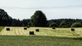 Sheaves of hay on meadow Royalty Free Stock Photo