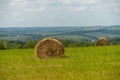Sheaves of hay on a mown field in the summer Royalty Free Stock Photo