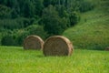 Sheaves of hay on a mown field in the summer Royalty Free Stock Photo