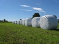 Sheaves of hay packed
