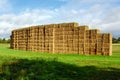 Sheaves of hay stacked into wall on the field in england uk on a sunny day Royalty Free Stock Photo