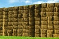 Sheaves of hay stacked into wall on the field in england uk on a sunny day Royalty Free Stock Photo