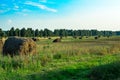 Sheaves of hay in the village