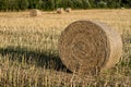 Sheaves of straw arranged in the field. Work done during harvest Royalty Free Stock Photo