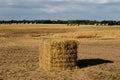 Sheaves of straw arranged in the field. Work done during harvest Royalty Free Stock Photo