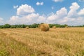 Sheaves of straw on the field in harvest