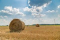 Sheaves of straw in the field, harvest Royalty Free Stock Photo