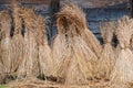 Sheaves of wheat