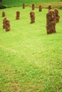 Sheaves stranding on grassland. Haymaking was made here Royalty Free Stock Photo