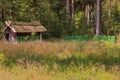 A shed with beehives at the edge of the forest