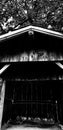 Close-up of a abandoned old wooden shed Royalty Free Stock Photo