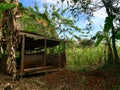 Shed at the countyside of Cuba