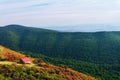 Shed in the Gorbea Natural Park Royalty Free Stock Photo