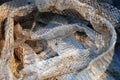 Shed snakeskin Royalty Free Stock Photo