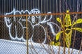 Shed with a white and yellow Graffiti behind a rusted fence with branches Royalty Free Stock Photo