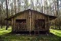A shed in the woods. A shed in the woods Royalty Free Stock Photo