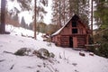 Shed in a woods. The house is made of log house.