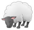 Sheep Animal Cartoon Character