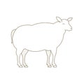 Sheep animal farm. Mutton breeding ewe. Wool lamb production. Yeanling. White fluffy lamb. Wool production. Line style. Outline