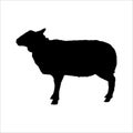 sheep animal silhouette isolated on white background Royalty Free Stock Photo