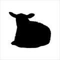 sheep animal sitting silhouette isolated on white background Royalty Free Stock Photo