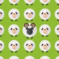 Sheep With Aries Pattern Royalty Free Stock Photo