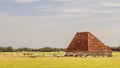 Sheep barn Royalty Free Stock Photo