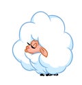 sheep beautiful fluffy cartoon